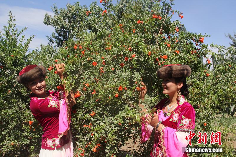 신장 카스 석류꽃 축제서 위구르족 전통춤 선보여