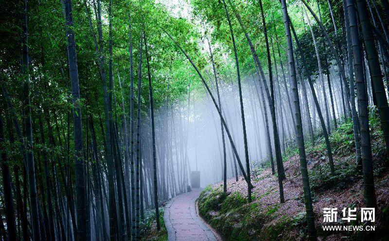 쓰촨 ‘수난주하이’ 비경을 찾아…무더위 속 청량함