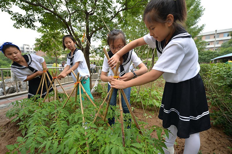체험하며 배우는 ‘동식물원’오픈 초등학생들에게 인기 만점