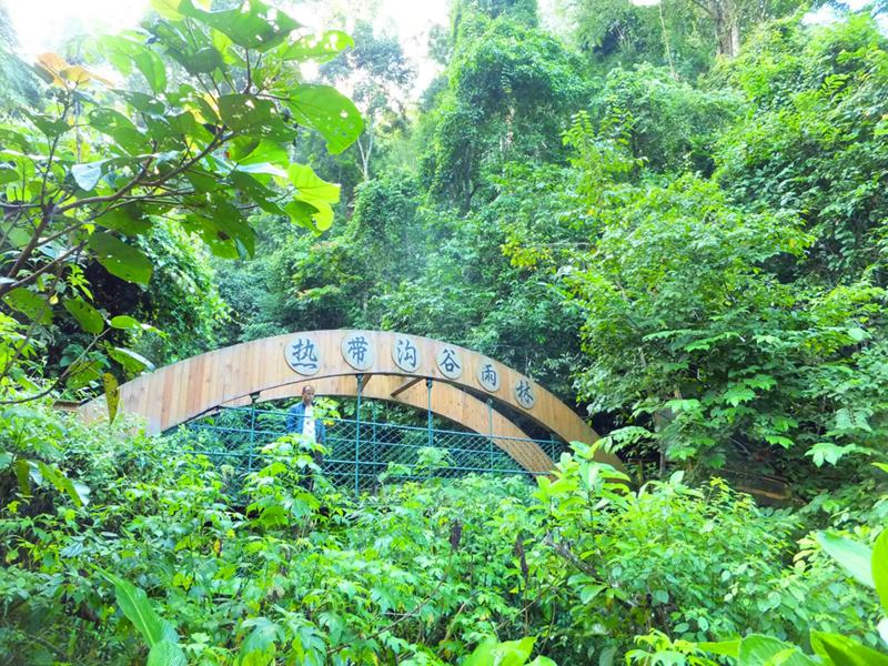 시솽반나(西雙版納)의 필수 여행코스 '원시삼림공원'