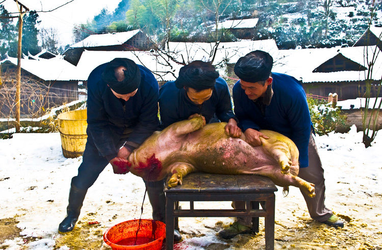 토가족(土家族)의 전통명절,궈간녠(過趕年)
