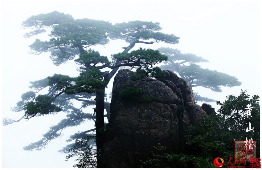 천하 제일 기산(奇山) – 황산…경이로운 경관