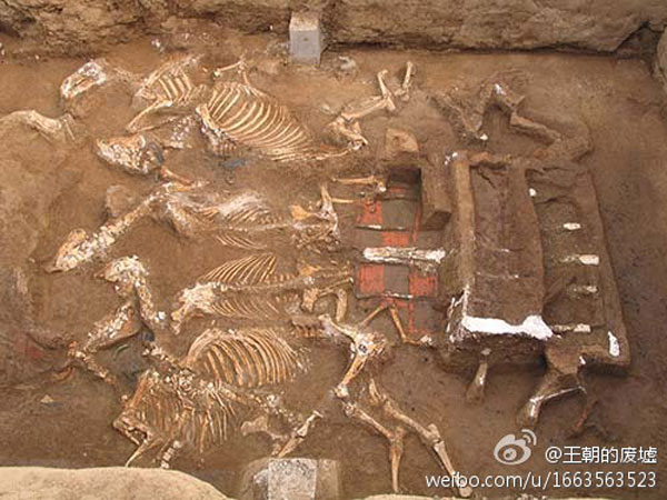 시안재경大 새 캠퍼스서 진시황 조모의 고분 발굴