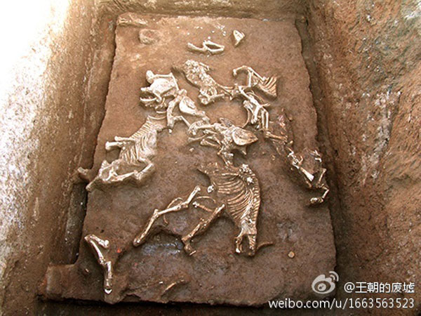 시안재경大 새 캠퍼스서 진시황 조모의 고분 발굴