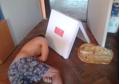 ‘피자와 함께 잠을’… 난감한 사진 모음에 ‘폭소만발’