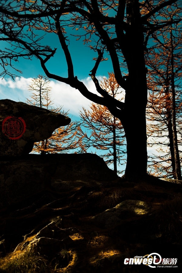 타이바이산(太白山) 가을 풍경…자연의 대작