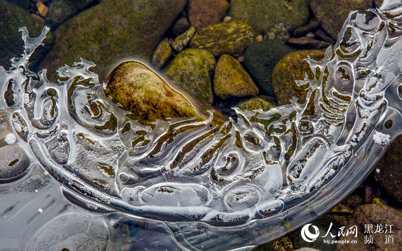 헤이룽장 후중 자연보호구… 겨울동화 풍경