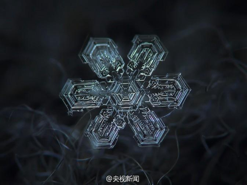 아름다워라! 눈꽃은 이렇게 생겼다! 