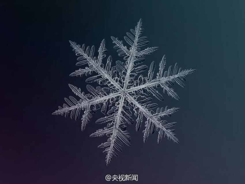 아름다워라! 눈꽃은 이렇게 생겼다! 