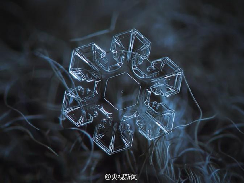 아름다워라! 눈꽃은 이렇게 생겼다! 