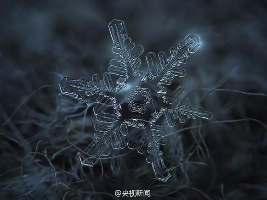 아름다워라! 눈꽃은 이렇게 생겼다! 