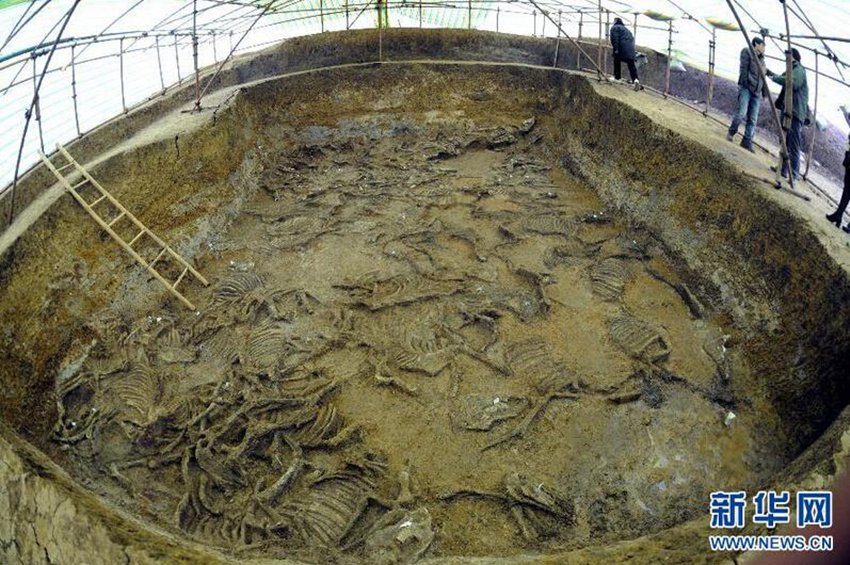 후베이서 2700년前 춘추시대 초기 유물 발견