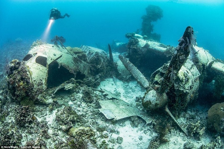 세계 최대 해저 日군함 무덤 ‘유령 함대’를 찾아