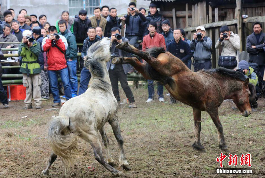 광시 묘족자치현서 대보름 맞이 말싸움 대회 열려