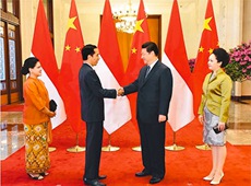 시진핑, 인도네시아 대통령과 회담