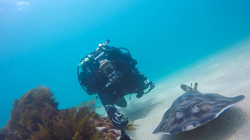 美 여자 다이버 해양 동물들과 셀카 ‘삼매경’