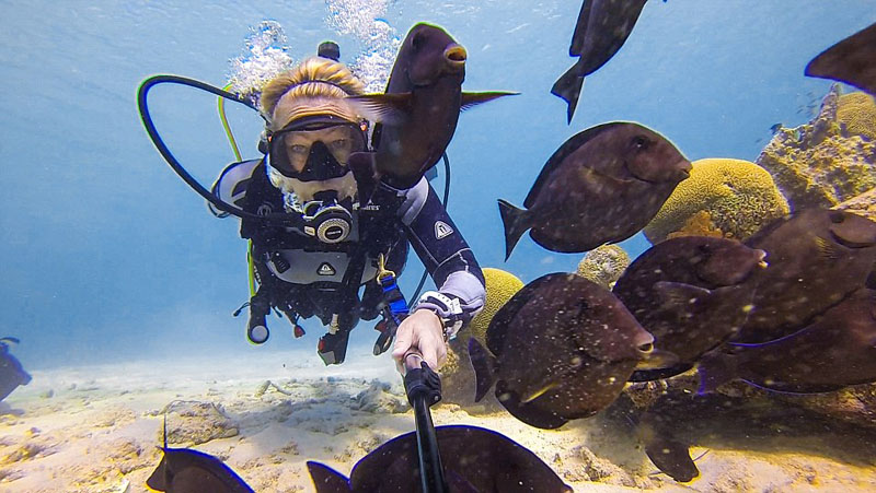 美 여자 다이버 해양 동물들과 셀카 ‘삼매경’