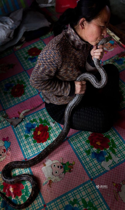 지린 농촌 아주머니，자타 공인 ‘뱀의 엄마’