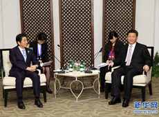 시진핑, 아베 일본 총리와 회담