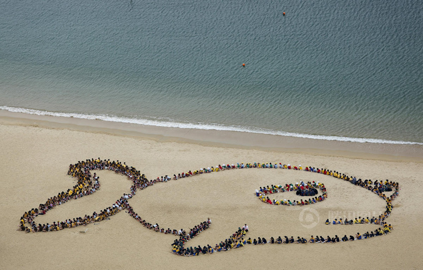 산호초 물고기를 위한 홍콩 900명 학생들의 호소