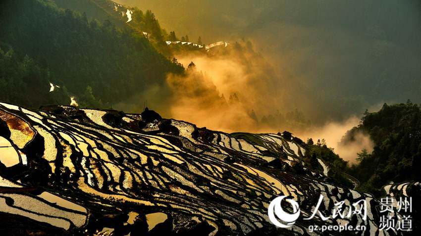 구이저우 자팡마을의 춘경기 풍경 ‘한 폭의 그림’
