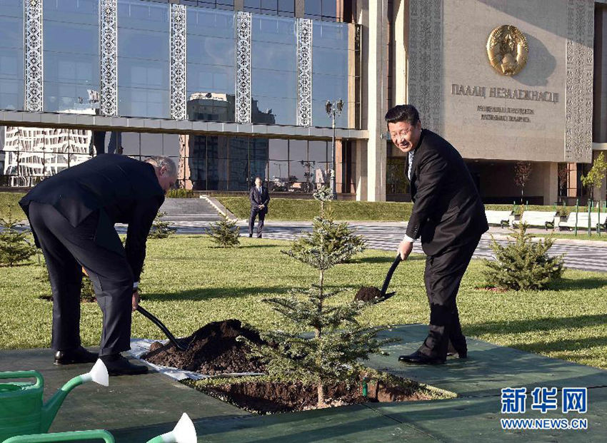 중국-벨라루스 정상, 우정의 나무 식수