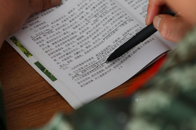 텅거리 사막에서 야채 심는 병사， 15년 채소심기 인생 
