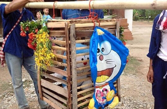 태국 기우제, 동물 학대 방지 차원에서 ‘도라에몽’을 제물로