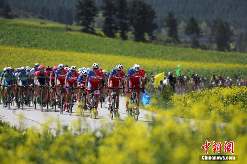 ‘꽃의 고향’서 Tour of Qinghai Lake 사이클 대회 개최