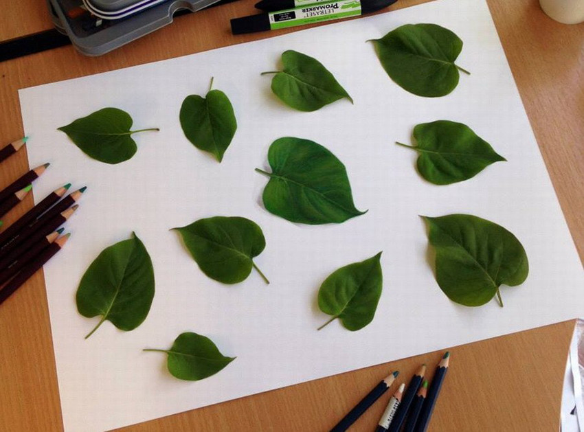노르웨이 예술가의 3D 나뭇잎과 데이지… 진짜? 가짜?