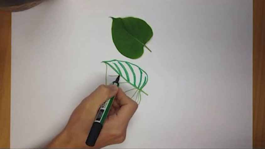 노르웨이 예술가의 3D 나뭇잎과 데이지… 진짜? 가짜?
