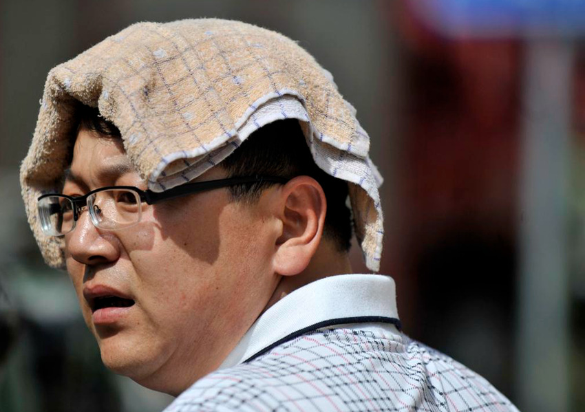 초복 무더위 이기는 햇빛 가리개... 기상천외!