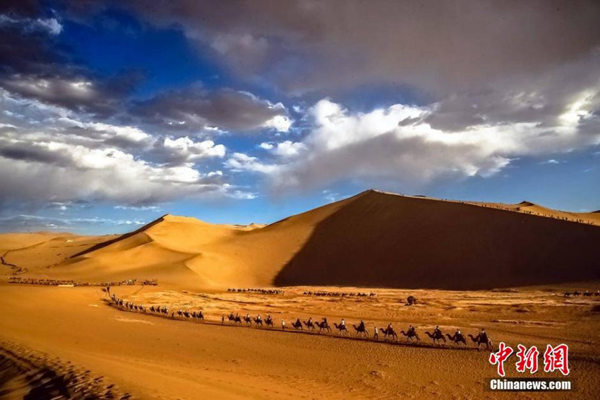 간쑤 둔황 관광 성수기, 관광객 낙타 행렬이 1km에 달해