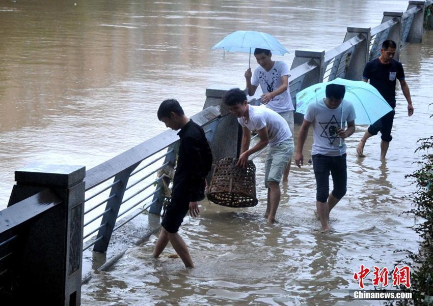 푸젠 시민, 태풍 지나가자 길거리서 물고기 잡기에 한창