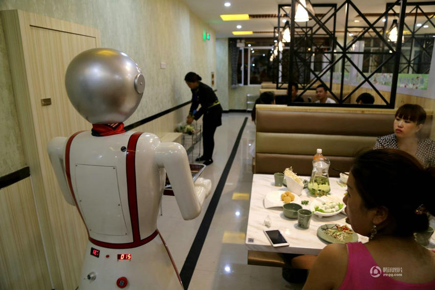 간쑤성 식당에 미녀 섹시로봇 등장, 차와 음식 서빙