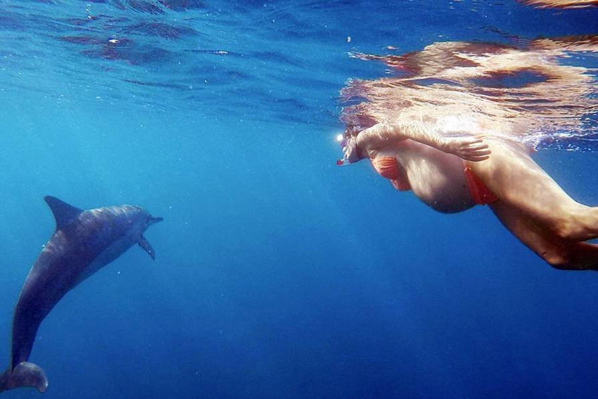 하와이 임신부 바다분만, 돌고래가 조산사?