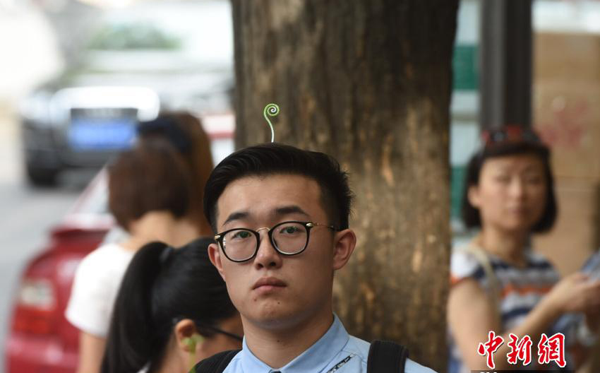 귀여움 필살 아이템 ‘새싹 머리핀’ 중국서 대유행