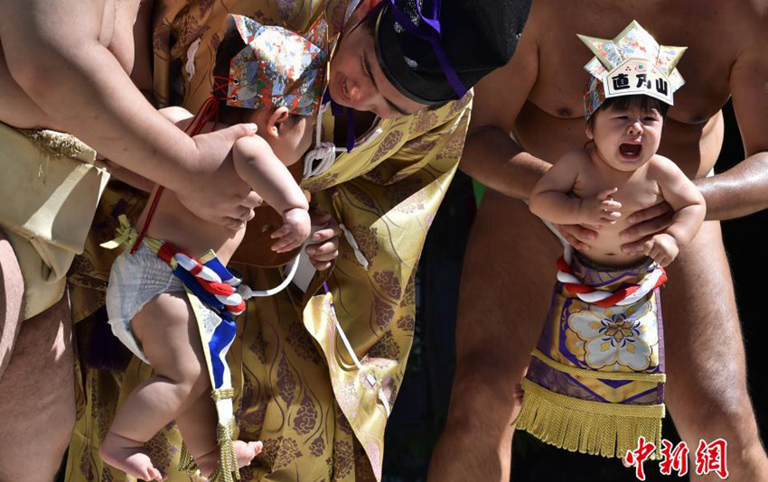 스모선수들의 ‘아기 울리기 대회’…아기들의 귀여운 울상