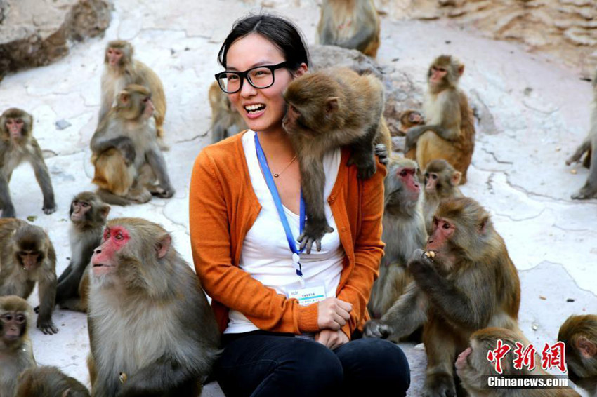 허난 원숭이 풍경구…관광객과 원숭이떼의 즐거운 한 때
