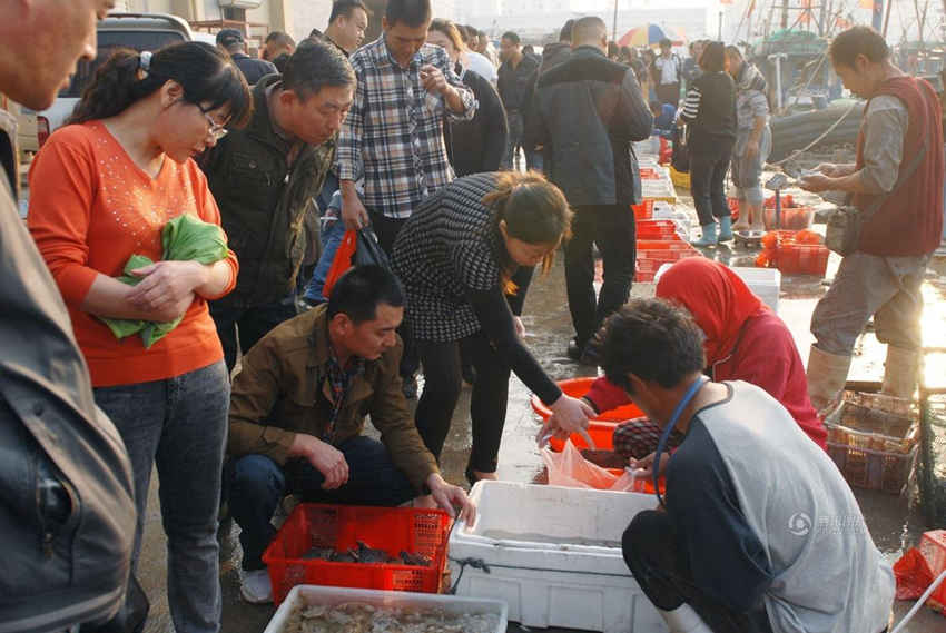 진귀한 칭다오 가을 왕새우, 4마리에 260위안