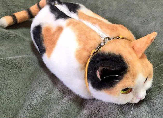 ‘고양이 핸드백’ 일본서 인기, 싱크로율 100%