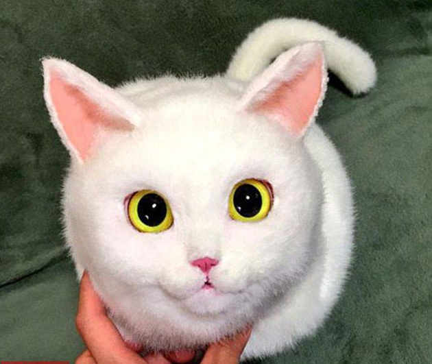 ‘고양이 핸드백’ 일본서 인기, 싱크로율 100%