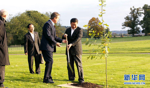 시진핑 주석, 캐머런 영국 총리와 우정의 나무 식수