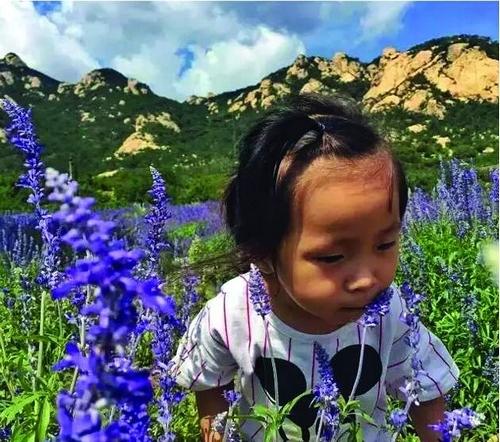 집 팔아 3세 딸 데리고 세계여행 떠난 아빠