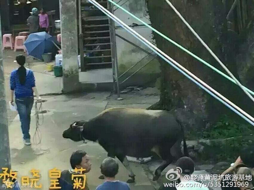 판빙빙, 감독 핑샤오강 신작 촬영 돌입…축배 들며 통음