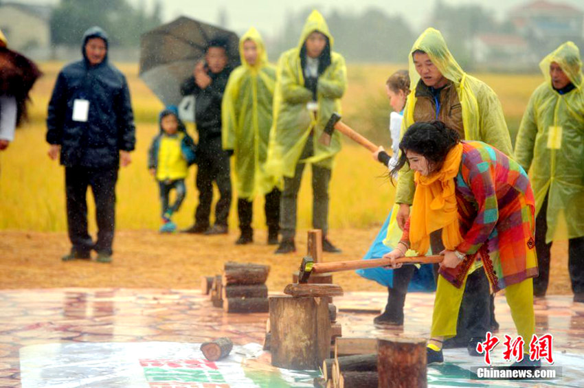 4개국 농민들, 후난서 ‘최강 농민 챔피언’ 각축전 벌여