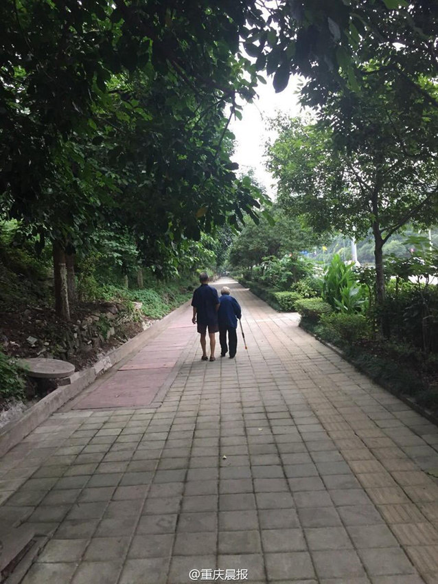 65세 아들, 5년 동안 매일 노모와 함께 걸어 네티즌 감동