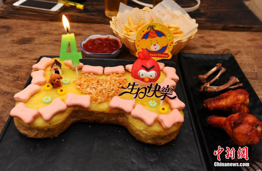 애견카페서 생일 맞은 애완견, ‘맛있는 뼈다귀 케이크’