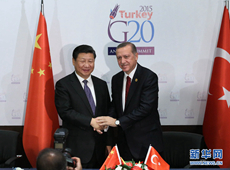 시진핑, G20 및 APEC 참석