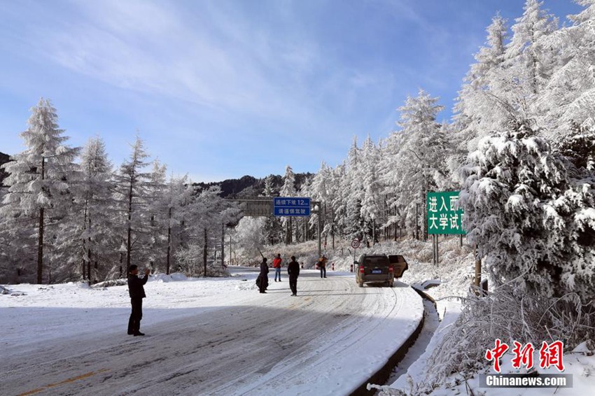 친링산맥 자연보호구역에 펼쳐진 상고대 장관 